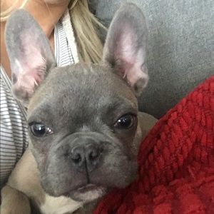 Meet your Posher, Anne